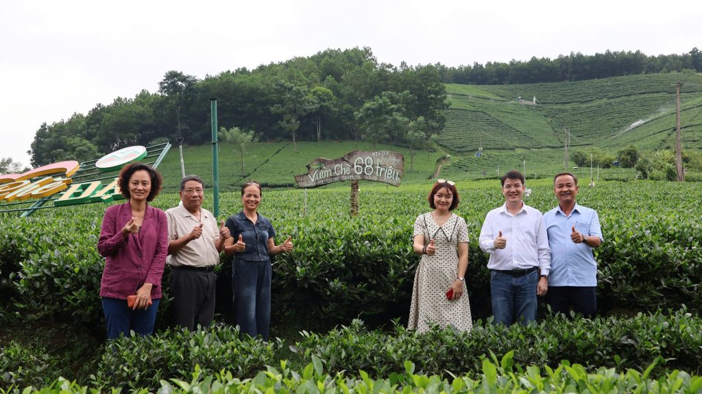 On-site survey activities of the Thai Nguyen tea-growing region on August 25.